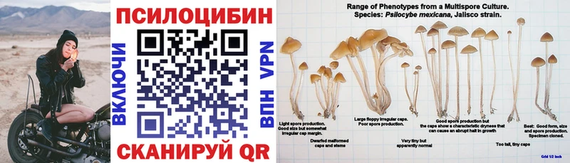Галлюциногенные грибы GOLDEN TEACHER  Купить  Лосино-Петровский 